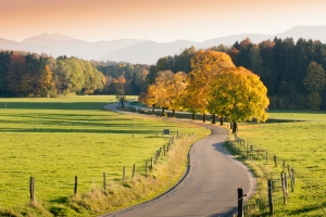 Winding Country Road through autumnal Landscape
